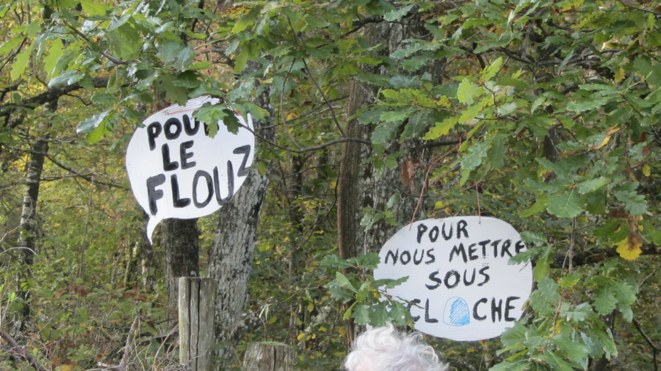 Manifestation contre le Center Parcs de Roybon (Isère), 20 octobre 2014 (Pcscp). Manifestation contre le Center Parcs de Roybon (Isère), 20 octobre 2014 (Pcscp).